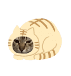 みるく。（個別スタンプ：13）