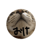 みるく。（個別スタンプ：21）
