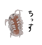 大王愚息虫（個別スタンプ：3）