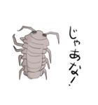 大王愚息虫（個別スタンプ：4）