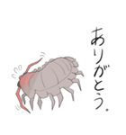 大王愚息虫（個別スタンプ：5）