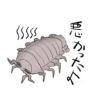 大王愚息虫（個別スタンプ：6）