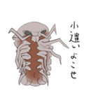 大王愚息虫（個別スタンプ：7）
