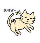 スタンプ＊ねこ(日常編)（個別スタンプ：1）