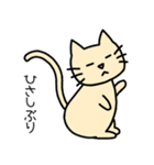 スタンプ＊ねこ(日常編)（個別スタンプ：6）