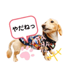 HaruTsuruDaru（個別スタンプ：9）