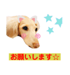 HaruTsuruDaru（個別スタンプ：27）