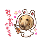 HaruTsuruDaru（個別スタンプ：31）