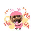 くるみスタンプPart6（個別スタンプ：1）