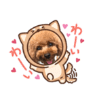 くるみスタンプPart6（個別スタンプ：3）