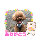くるみスタンプPart6（個別スタンプ：7）
