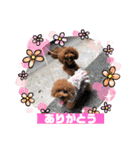 くるみスタンプPart6（個別スタンプ：9）