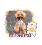 くるみスタンプPart6（個別スタンプ：10）