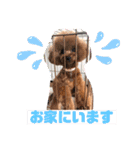 くるみスタンプPart6（個別スタンプ：14）