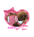 くるみスタンプPart6（個別スタンプ：16）