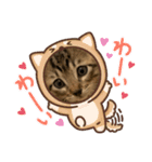 さだはるのスタンプ（個別スタンプ：19）
