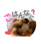 おみそ♡おこめ♡おとふ（個別スタンプ：1）