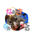 おみそ♡おこめ♡おとふ（個別スタンプ：3）