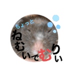 おみそ♡おこめ♡おとふ（個別スタンプ：4）