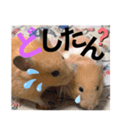 おみそ♡おこめ♡おとふ（個別スタンプ：8）