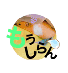 おみそ♡おこめ♡おとふ（個別スタンプ：9）