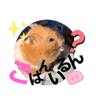 おみそ♡おこめ♡おとふ（個別スタンプ：10）