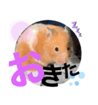 おみそ♡おこめ♡おとふ（個別スタンプ：11）