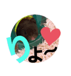 おみそ♡おこめ♡おとふ（個別スタンプ：12）