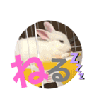 おみそ♡おこめ♡おとふ（個別スタンプ：14）