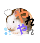 おみそ♡おこめ♡おとふ（個別スタンプ：15）