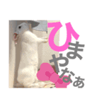 おみそ♡おこめ♡おとふ（個別スタンプ：16）