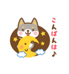 動く！柴犬さんたちのシンプルスタンプ（個別スタンプ：10）