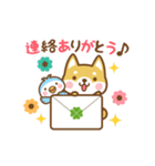 動く！柴犬さんたちのシンプルスタンプ（個別スタンプ：13）