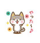 動く！柴犬さんたちのシンプルスタンプ（個別スタンプ：14）