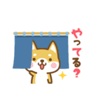 動く！柴犬さんたちのシンプルスタンプ（個別スタンプ：15）