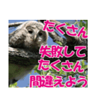 サロベツ原野のエゾフクロウ01（個別スタンプ：30）