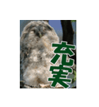 サロベツ原野のエゾフクロウ01（個別スタンプ：32）