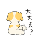 毎日使える犬のスタンプ♪（個別スタンプ：8）