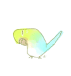 セキセイインコな気持ち（個別スタンプ：2）
