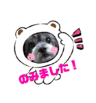 モニカとチョコ②（個別スタンプ：1）