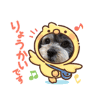 モニカとチョコ②（個別スタンプ：3）