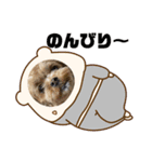モニカとチョコ②（個別スタンプ：13）