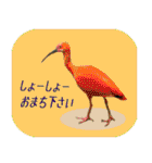 死語、ギャグスタンプ 鳥の写真（個別スタンプ：37）