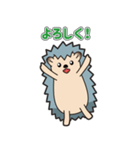 ハリネズミ,ヘッジホッグ,かわいい,珍しい（個別スタンプ：12）