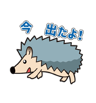 ハリネズミ,ヘッジホッグ,かわいい,珍しい（個別スタンプ：13）