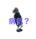 らむぴっぴ（個別スタンプ：1）