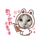 ミーモスタンプ4（個別スタンプ：1）