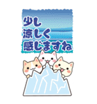 毎日使いやすい三匹猫のBIGスタンプ202009（個別スタンプ：31）