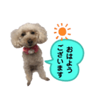 〜りんちゃんの日常〜（個別スタンプ：3）