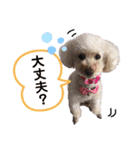 〜りんちゃんの日常〜（個別スタンプ：8）